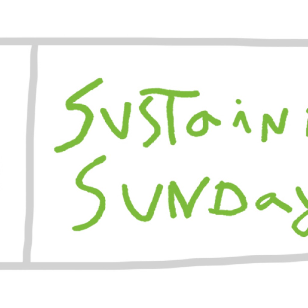 SUSTAINABLE SUNDAY 07/05/2017